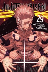 Jujutsu Kaisen. 29