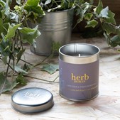 HERB DUBLIN LAVENDER CANDLE-TIN TALL