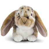 Living Nature Dutch Lop Eared Rabbit Brown 30cm