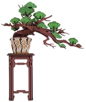 Rolife Evergreen Pine Bonsai