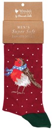 Wrendale Robin Men's Christmas Socks - Season's Tweetings