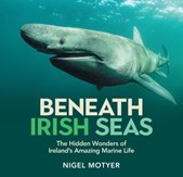 Beneath Irish Seas: The Hidden Wonders Of Ireland's Amazing Marine Life