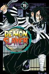 Demon slayer Vol. 19