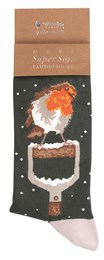 Wrendale Robin Men's Christmas Sock A Little Red Robin