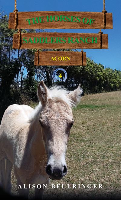 Buy The Horses Of Saddlers Ranch Book at Easons