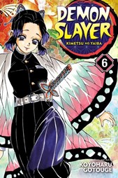 Demon slayer Vol. 6