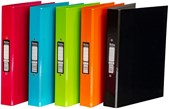 Pukka Assorted Ringbinder A4