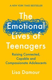 The emotional lives of teenagers