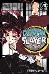 Demon slayer Vol. 20