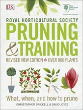 Pruning & training